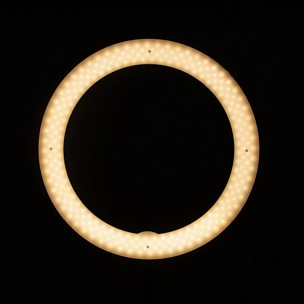 19" LED Ring Light - Gold Luxe II (EX-DEMO)