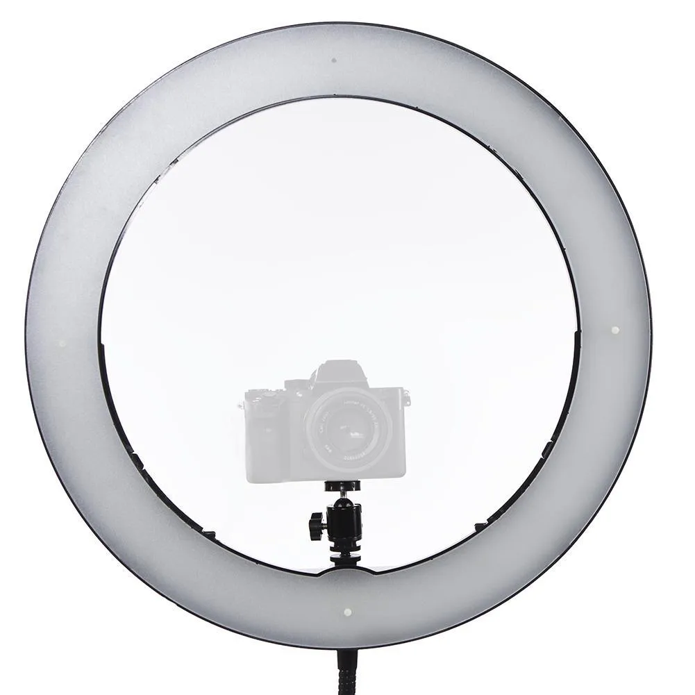 19" LED Ring Light - Gold Luxe II (EX-DEMO)