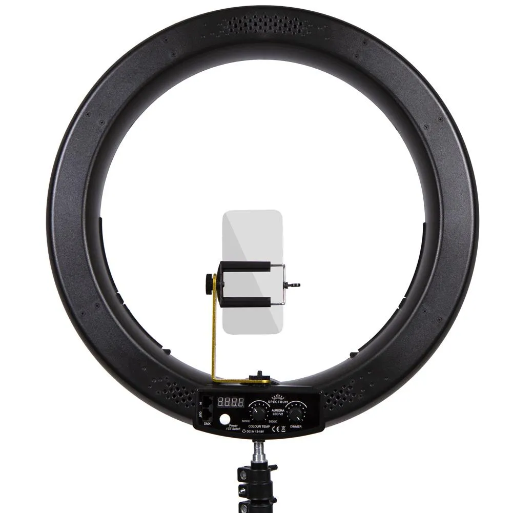 19" LED Ring Light - Gold Luxe II (EX-DEMO)