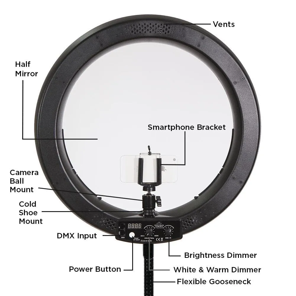 19" LED Ring Light - Gold Luxe II (EX-DEMO)