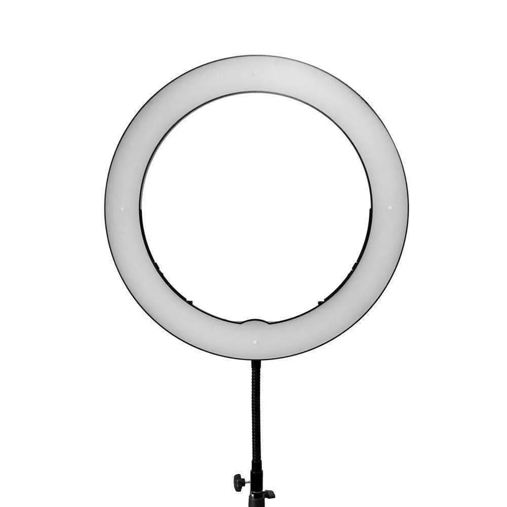 19" LED Ring Light - Gold Luxe II (EX-DEMO)