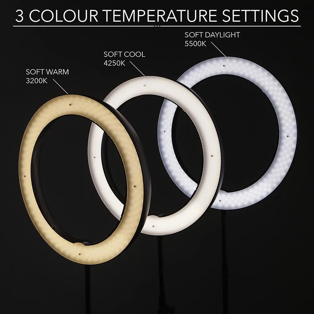 19" LED Ring Light - Gold Luxe II (EX-DEMO)