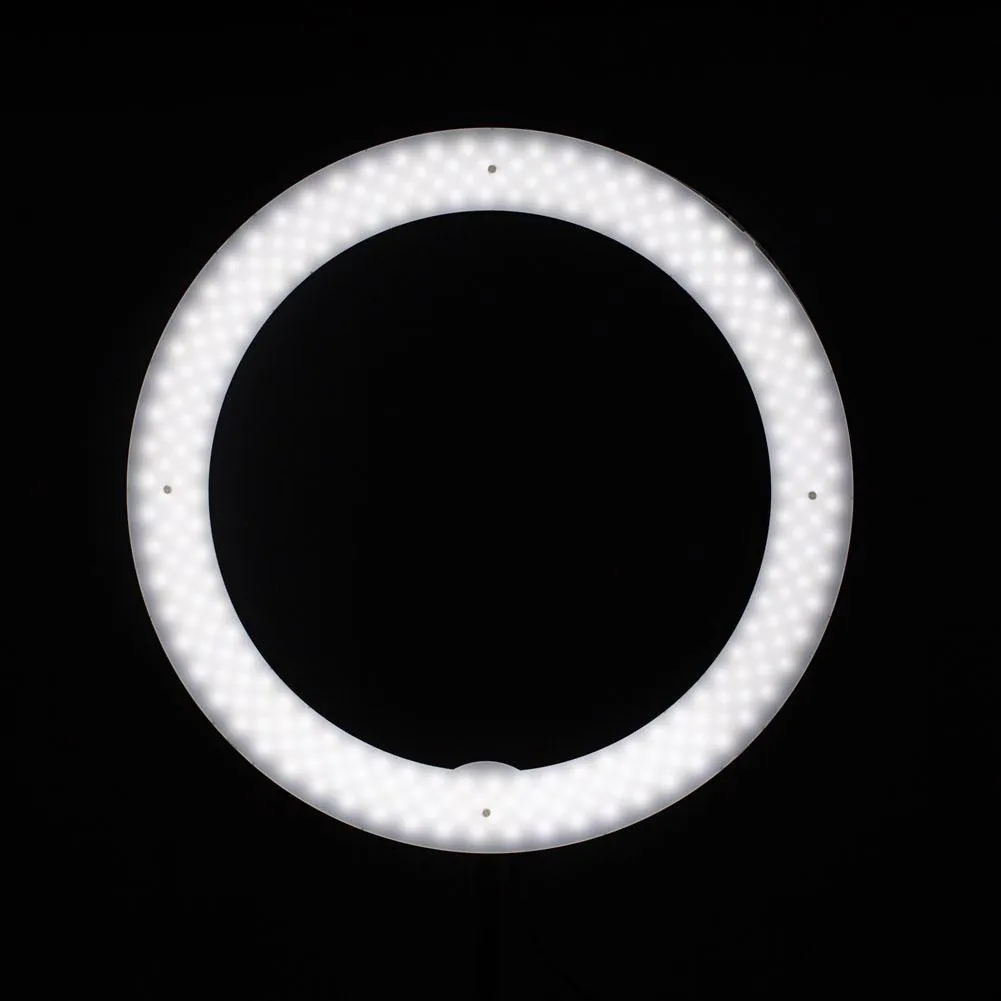 19" LED Ring Light - Gold Luxe II (EX-DEMO)