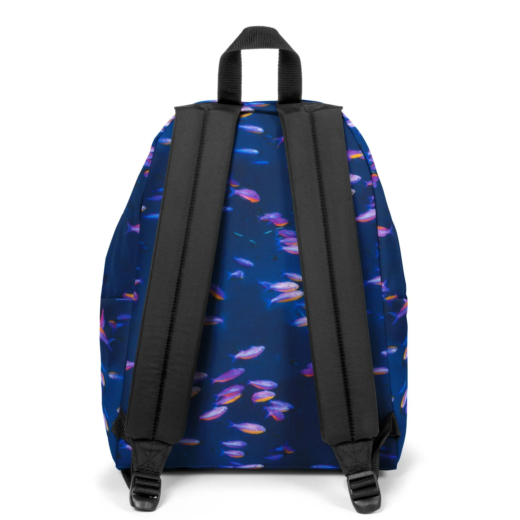 SAC EASTPAK PADDED PAK'R NATGEO FISH